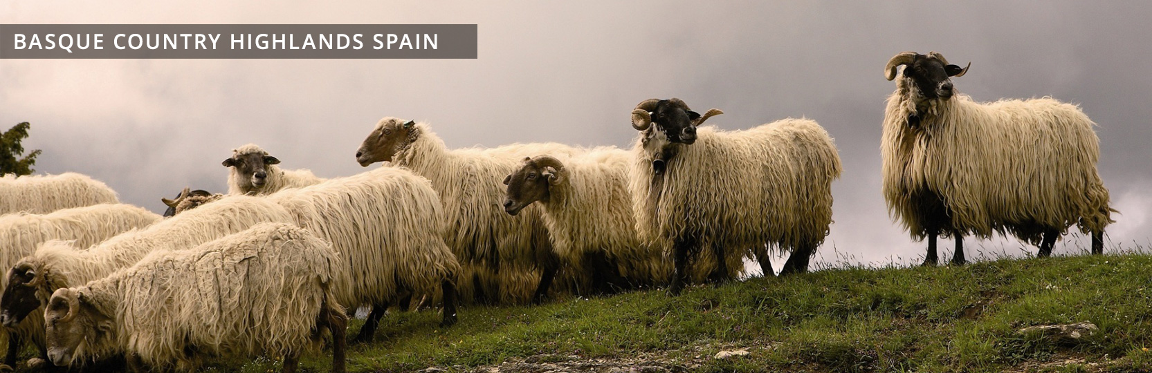 Just Follow Me Basque Country Highlands Spain